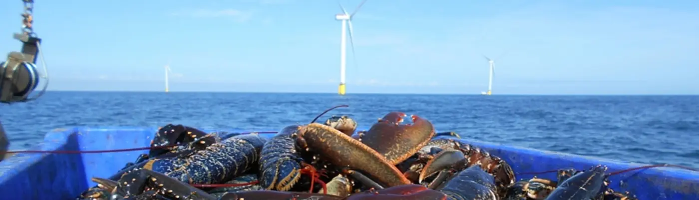 The-Westermost-Rough-Fisheries
